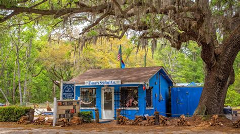 11 Reasons Why You Should Visit Edisto Island South Carolina Artofit