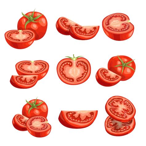 Premium Vector Fresh Cartoon Tomatoes Red Vegetables In Cut An