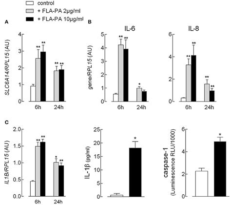 Frontiers Flagellin From Pseudomonas Aeruginosa Stimulates Atb