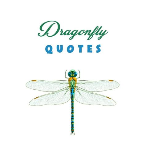 Top 20 Dragonfly Quotes And Captions To Inspire You