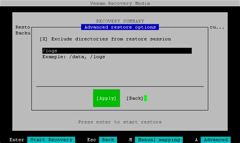 Step Specify Advanced Restore Settings Veeam Agent For Oracle