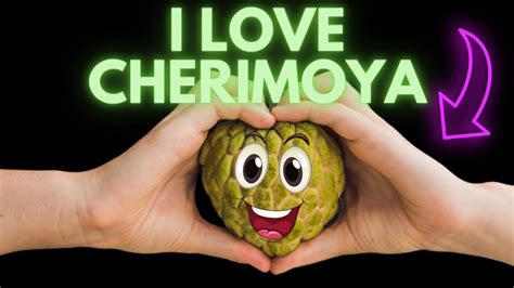 The Cherimoya Fruit Song I Love Cherimoya Strange Catchy Fruit Song