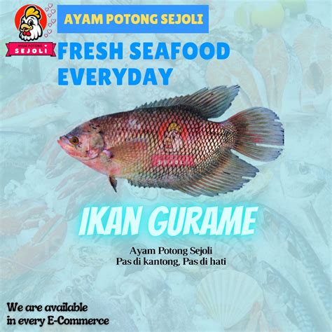 Jual Ikan Gurame Konsumsi Segar Ikan Gurami Fresh Shopee Indonesia