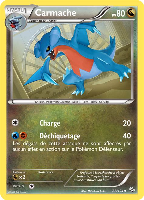 Carmache Noir Blanc Dragons Exaltés 88 Poképédia