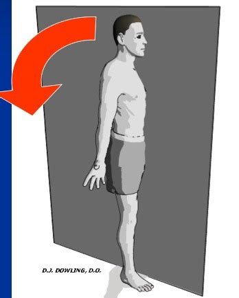 Range Of Motion And Measurements Flashcards Quizlet