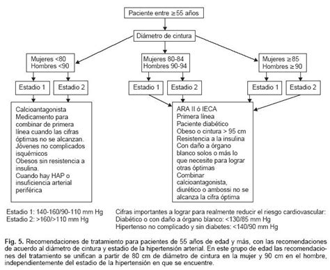 Gu As Del Instituto Nacional De Cardiolog A Ignacio Ch Vez Para El