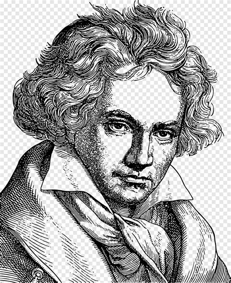 Ludwig Van Beethoven Retrato Arte Lineal M Sica M Sico Compositor