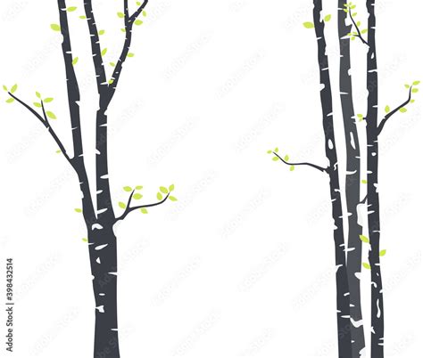 Birch Tree Silhouette