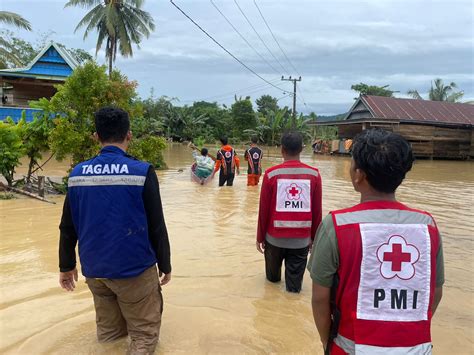 Bencana Banjir Dan Longsor Di Sulsel PMI Turunkan Bantuan Hingga