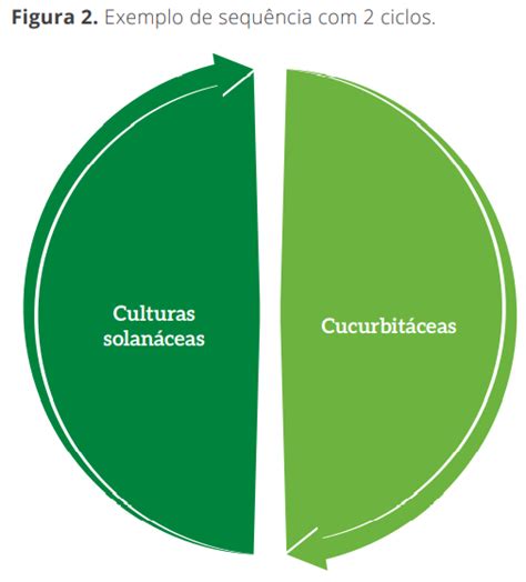 Importância da rotação de culturas