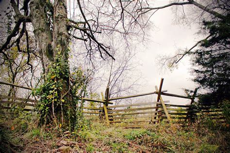 Fence Photograph By Michael Byerley Fine Art America