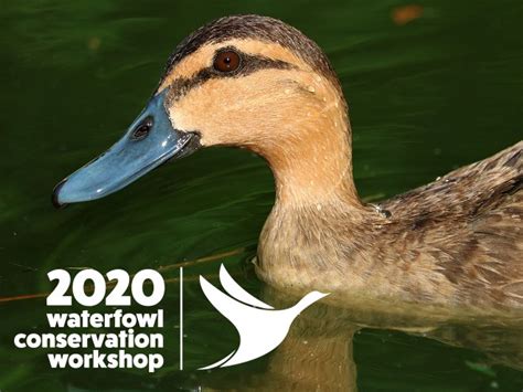 Waterfowl Conservation Workshop 2020 - Ticketpoint