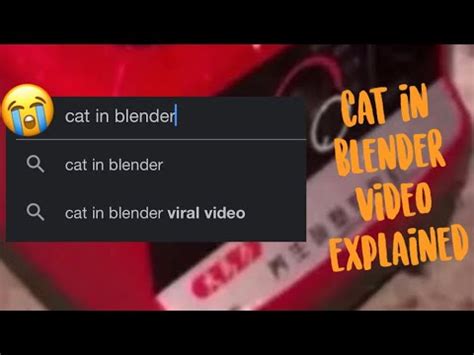 Twitter Cat In Blender Cat In Blender Real Video Viral Cat Video In