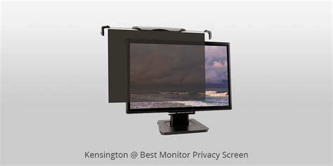 8 Best Monitor Privacy Screens In 2025