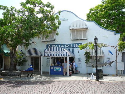 Key West Aquarium - Key West FL - Living New Deal