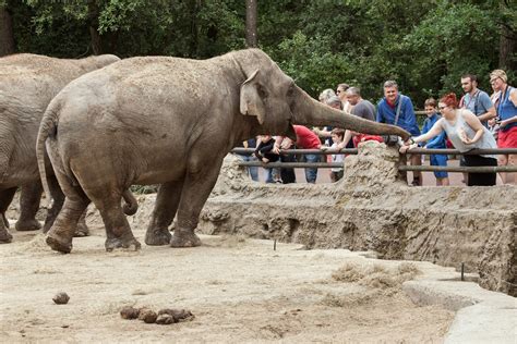 La Palmyre Zoo | Visit one of the best zoos in France!