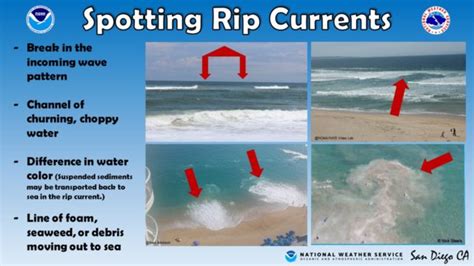 San Diego Beaches Under Rip Current Warning Heres How To Avoid Getting Caught In One Times