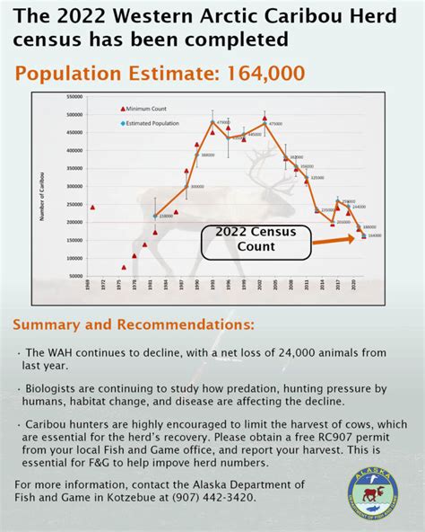 Western Arctic Caribou Herd Population Drops Again