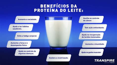 Whey Protein Conheça A Eficácia Do Suplemento Para Além Do Esporte