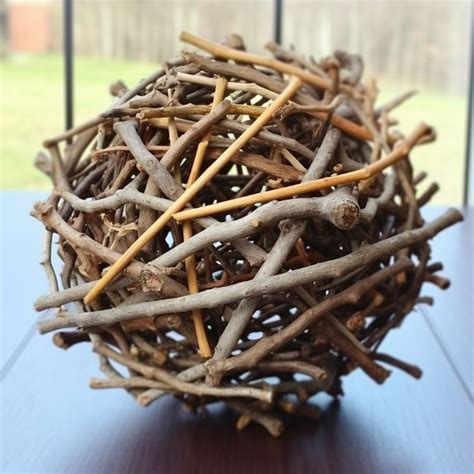 collect  twigs       pretty diys twig