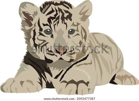 Illustration Young White Tiger Cub Your Stock Vector (Royalty Free) 2092477387 | Shutterstock