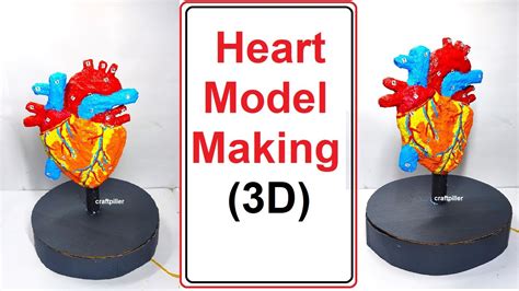 Heart Model 3d Workingrotating Making Diy Simple And Easy Steps