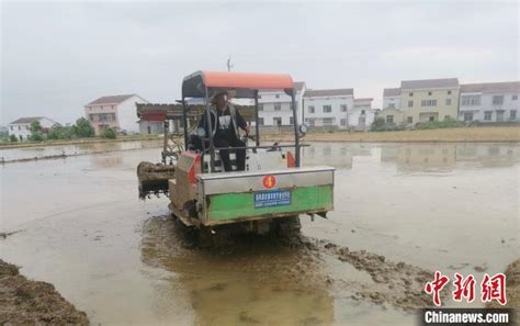 “土地银行”守住耕地红线 湖南岳阳县万象“耕”新不负春光 荆楚网 湖北日报网