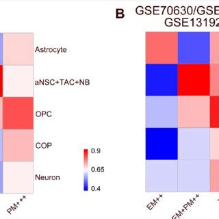 Idh Wt Em Gliomas And Idh Mut Pm Gliomas Belong To Distinct Lineages In