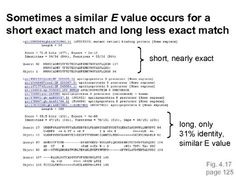 Blast Basic Local Alignment Search Tool In