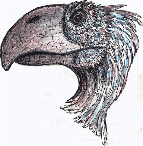 ART Evolved: Life's Time Capsule: The Terror Bird Gallery