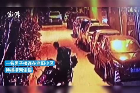 男子持捕捞网多次在老旧小区偷猫 被众人合围交给警方捕捞合围小区