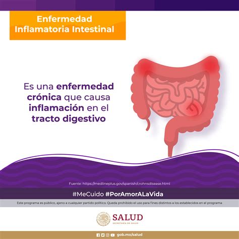 Enfermedad Inflamatoria Intestinal Padecimiento Autoinmune Porn Sex