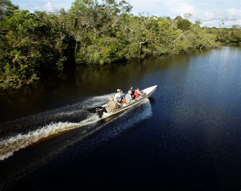 Conseils Pour Bien Pr Parer Son Voyage En Amazonie Heliconia