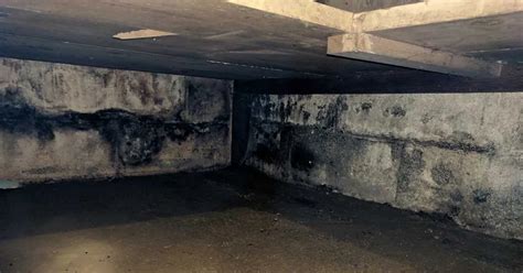 How Mold Grows On Concrete And How To Prevent It Ohio Basement Authority