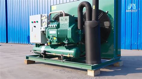 Bitzer Compressor Cold Room Air Cooled Refrigeration Condensing Unit