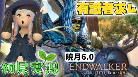 【暁月初見実況】 完全初心者初見わかばヒカセンが大人気オンラインrpgfinal Fantasy Xivを初見プレイ＃ 208 Youtube