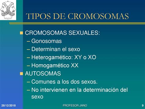 Profesor Jano Es VÍctor M Vitoria [los Cromosomas] Ppt Descargar