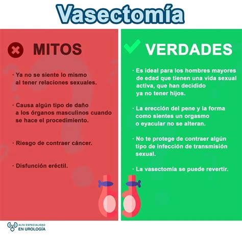 ¿cuáles Son Los Mitos Y Verdades Sobre La Vasectomía