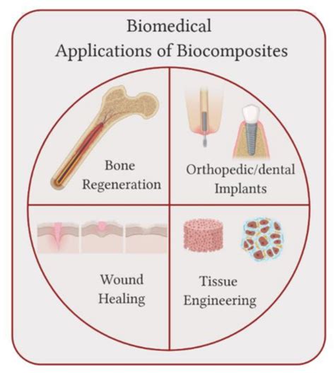 Molecules Free Full Text From Dermal Patch To Implants—applications Of Biocomposites In