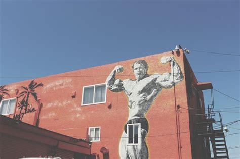 Arnold Schwarzenegger Mural Venice Beach