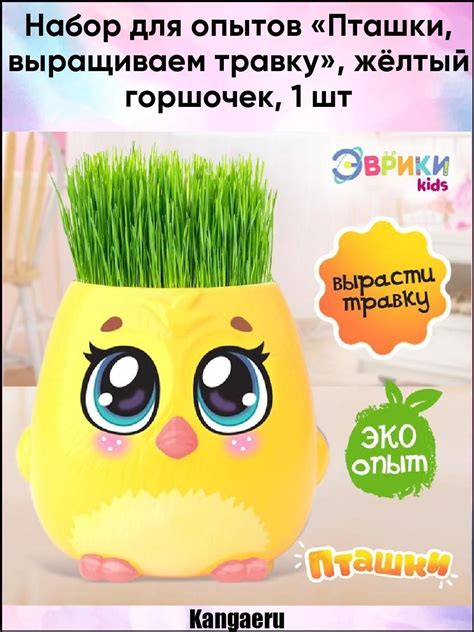 Купить Набор для опытов «Пташки, выращиваем травку» в интернет магазине ...
