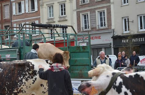 Comice Agricole Les Premiers Prix D Cern S Au Neubourg