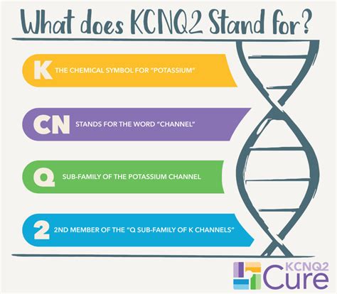 What Is Kcnq2 Epilepsy Kcnq2 Cure Alliance