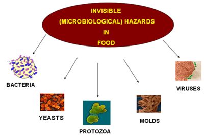 Food safety – a key to healthy life - MedCrave online