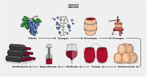 As Principais Etapas Do Processo De Produ O Do Vinho Tinto