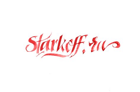 Starkoff.ru on Behance