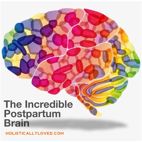 The Incredible Postpartum Brain — Holistically Loved
