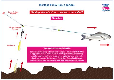 Surfcasting en milieux encombrés Normandie Appâts