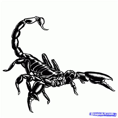 Scorpion Cartoon Drawing - Cartoon Scorpion Drawing Coloring ...