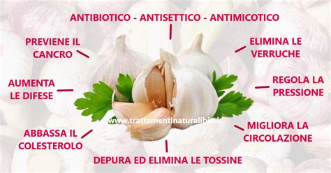 Propriet Benefiche Dellaglio Trattamenti Naturali Bio